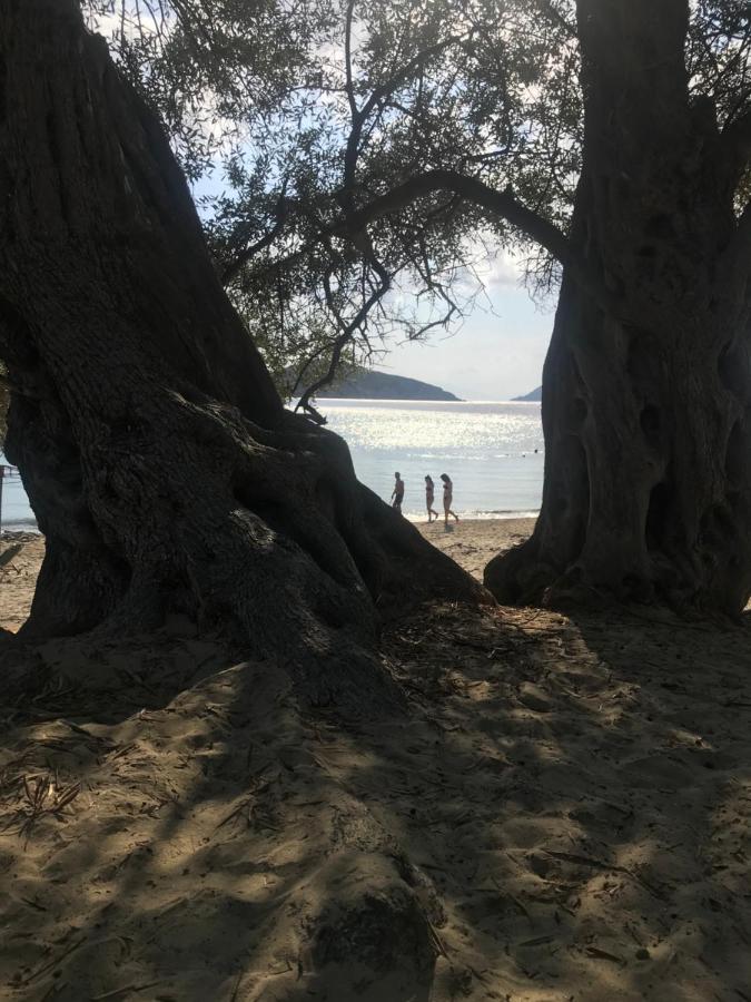 Raphael Skiathos Living-Olga Zewnętrze zdjęcie