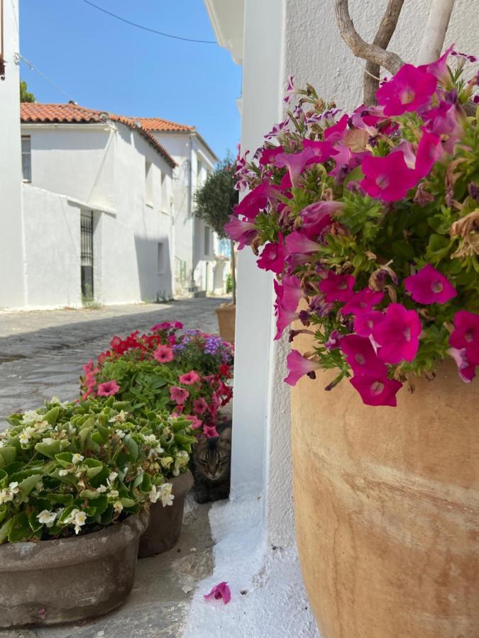 Raphael Skiathos Living-Olga Zewnętrze zdjęcie